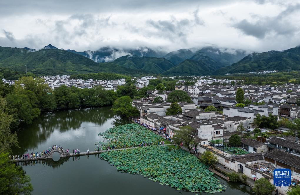 海洋之神网址
